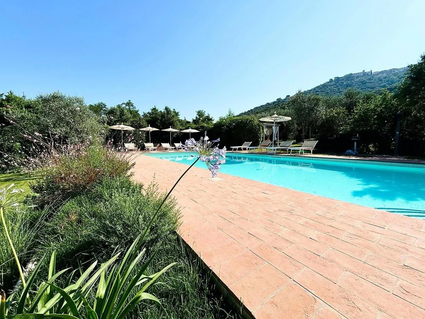 Nonna Nara Bed & Breakfast Grosseto