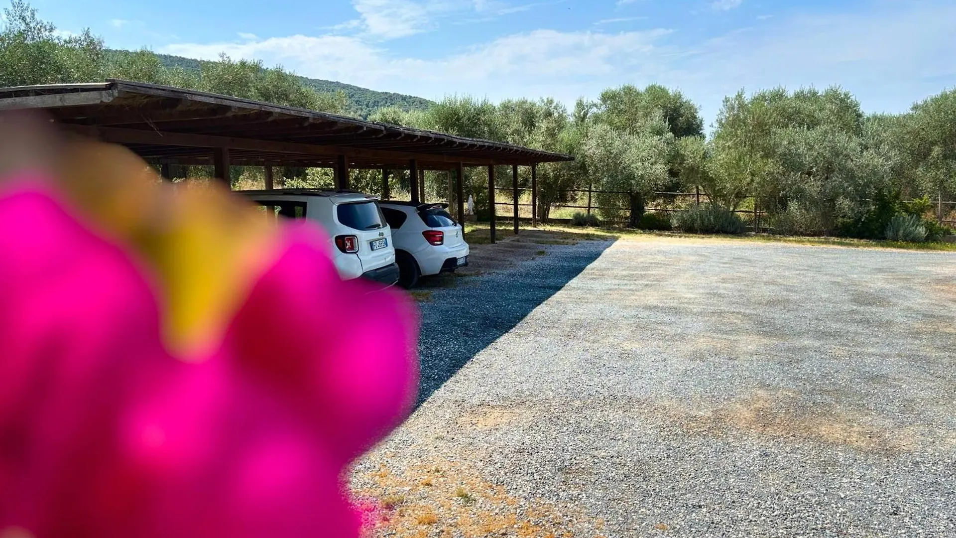 Nonna Nara Bed & Breakfast Grosseto İtalya