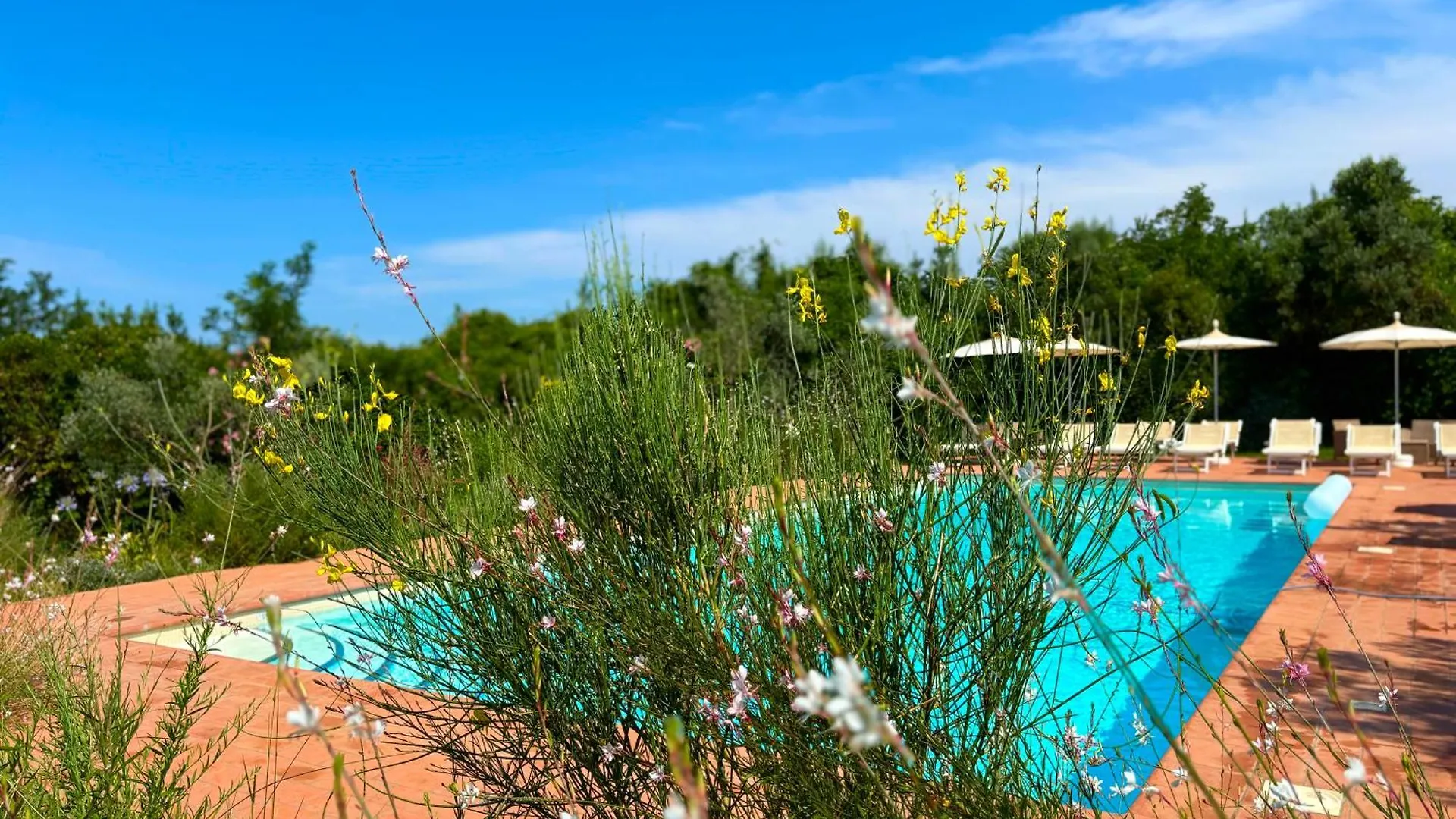 Nonna Nara Bed & Breakfast Grosseto