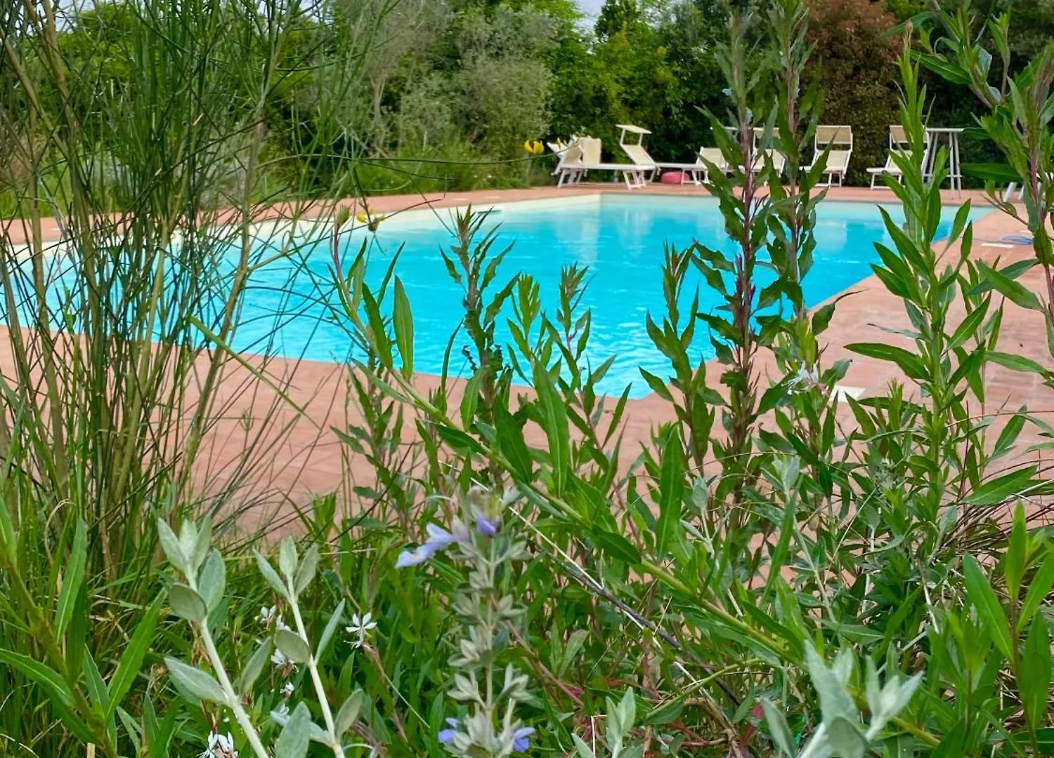 Nonna Nara Bed & Breakfast Grosseto